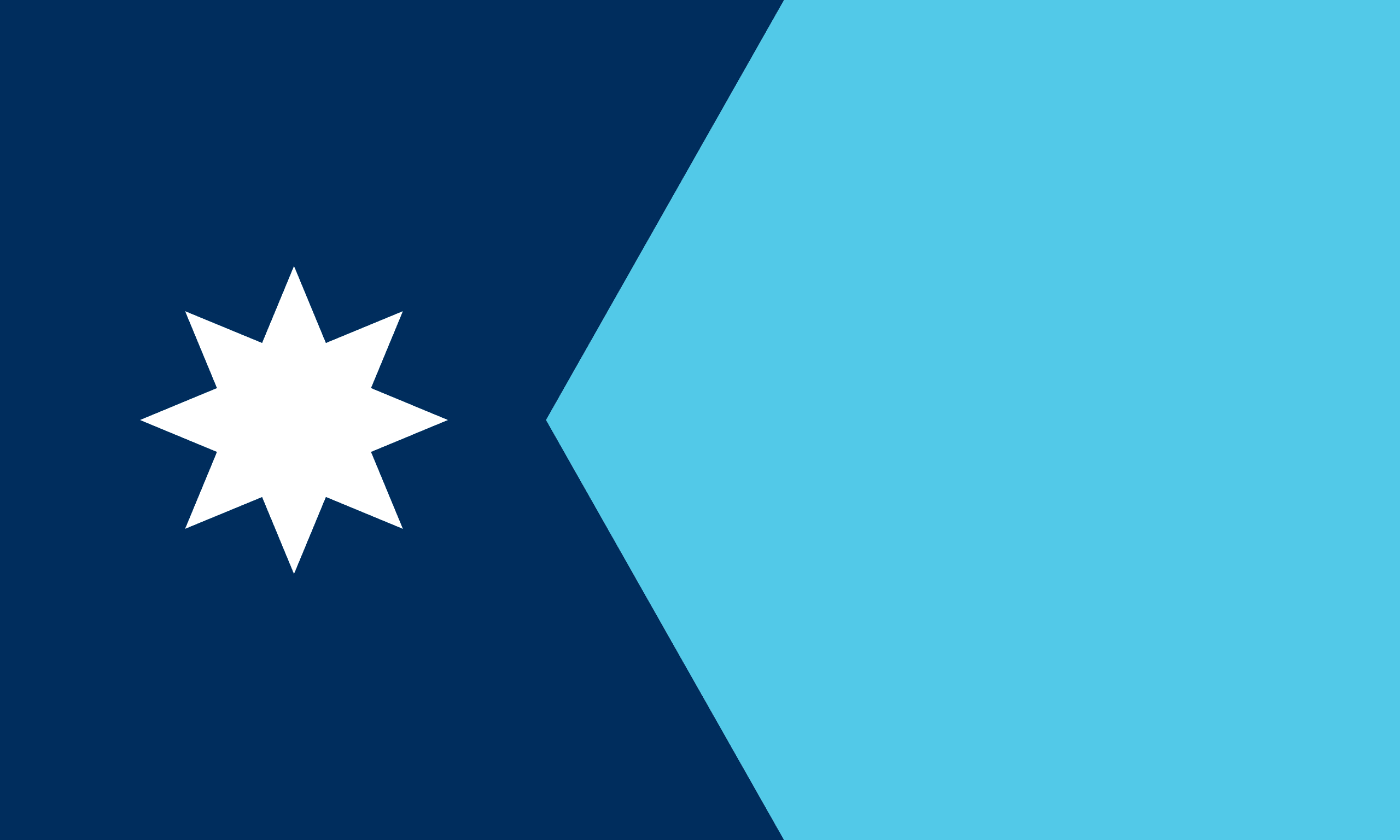 Minnesota State Flag